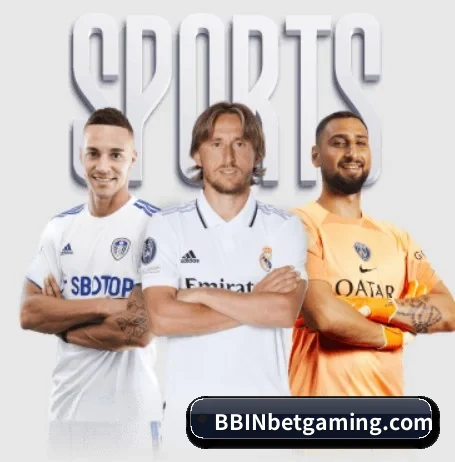 bbin真人游戏 APP