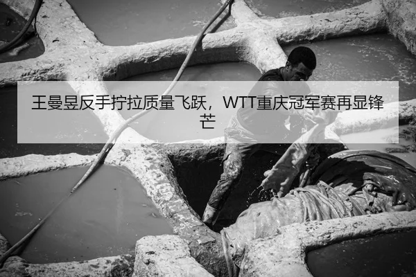 王曼昱反手拧拉质量飞跃，WTT重庆冠军赛再显锋芒