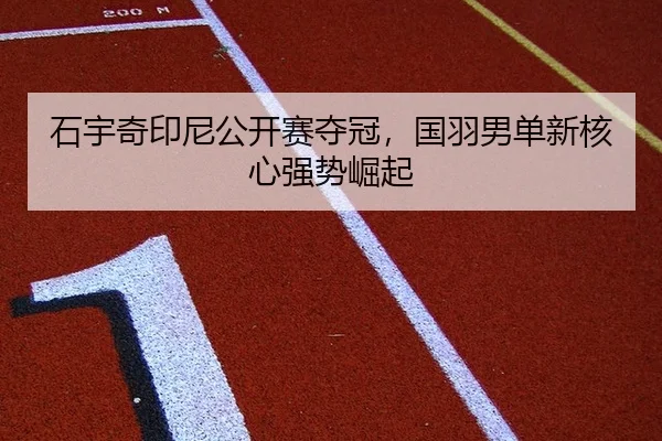 shi-yu-qi-yin-ni-gong-kai-sai-duo-guan-guo-yu-nan-dan-xin-he-xin-qiang-shi-jue-qi-3-202.jpg