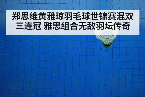 badminton net play